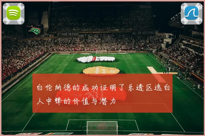 白伦纳德的成功证明了乐透区选白人中锋的价值与潜力
